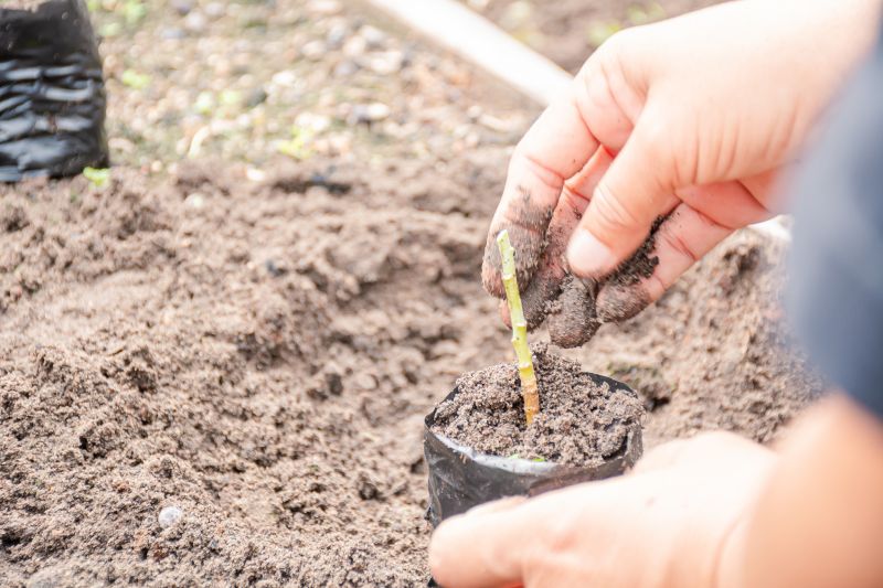  <div class='credito_fotos'>Foto: Karla Reis &nbsp;&nbsp;|&nbsp;&nbsp; <a href='/midias/2025/originais/9150_783b26d9-a1b6-0be2-f409-8c1a8d58ffdb.jpg' download><i class='fa-solid fa-download'></i> Download</a></div>