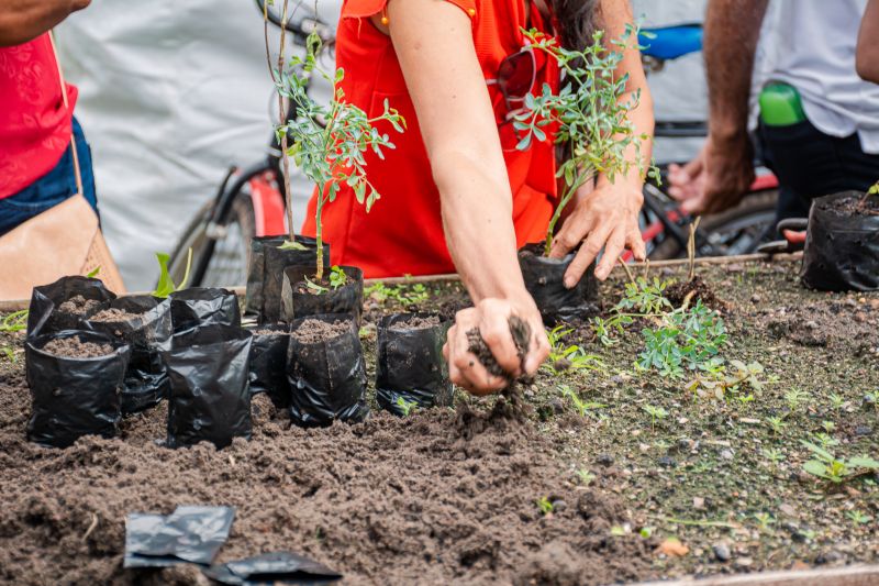  <div class='credito_fotos'>Foto: Karla Reis &nbsp;&nbsp;|&nbsp;&nbsp; <a href='/midias/2025/originais/9150_8889420b-ea51-18fa-586c-e81a2648a587.jpg' download><i class='fa-solid fa-download'></i> Download</a></div>