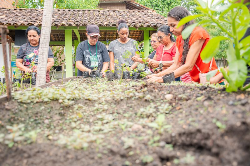  <div class='credito_fotos'>Foto: Karla Reis &nbsp;&nbsp;|&nbsp;&nbsp; <a href='/midias/2025/originais/9150_c538c120-5d98-89f2-4069-1ea8609d77fd.jpg' download><i class='fa-solid fa-download'></i> Download</a></div>