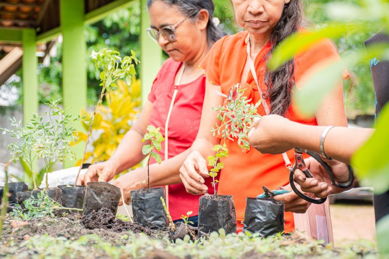  <div class='credito_fotos'>Foto: Karla Reis &nbsp;&nbsp;|&nbsp;&nbsp; <a href='/midias/2025/originais/9150_ee2832cf-1ac6-091d-7d7c-38ec41426e13.jpg' download><i class='fa-solid fa-download'></i> Download</a></div>