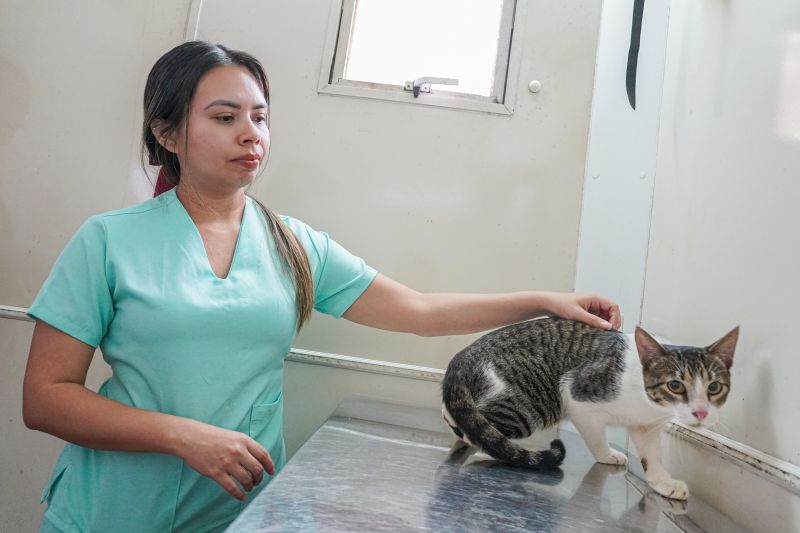  <div class='credito_fotos'>Foto: João Pedro Rodrigues &nbsp;&nbsp;|&nbsp;&nbsp; <a href='/midias/2025/originais/9162_5cfee224-0865-26e9-107e-c6e71cb9cd70.jpg' download><i class='fa-solid fa-download'></i> Download</a></div>