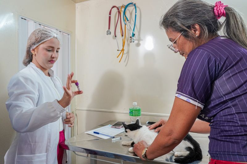  <div class='credito_fotos'>Foto: João Pedro Rodrigues &nbsp;&nbsp;|&nbsp;&nbsp; <a href='/midias/2025/originais/9162_7785dfa7-f8fb-767c-73e6-909f0e428bbf.jpg' download><i class='fa-solid fa-download'></i> Download</a></div>