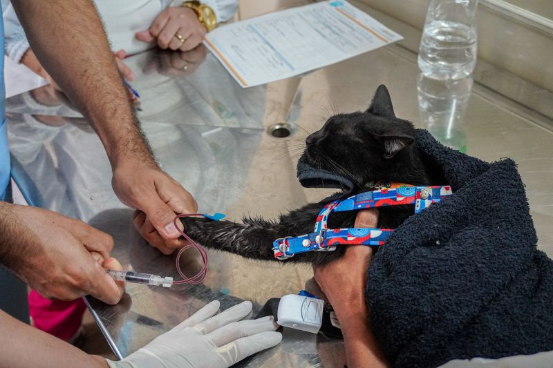  <div class='credito_fotos'>Foto: João Pedro Rodrigues &nbsp;&nbsp;|&nbsp;&nbsp; <a href='/midias/2025/originais/9162_ae86905f-caeb-b956-5ce8-c5487a337ae7.jpg' download><i class='fa-solid fa-download'></i> Download</a></div>