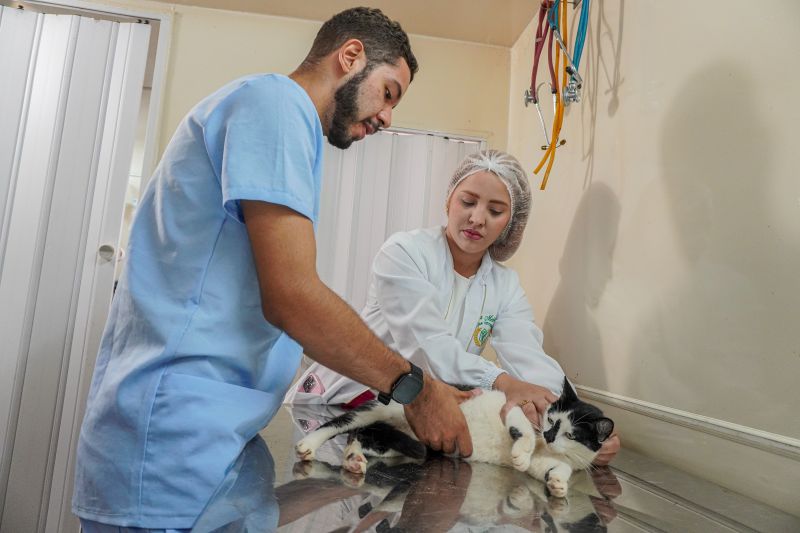  <div class='credito_fotos'>Foto: João Pedro Rodrigues &nbsp;&nbsp;|&nbsp;&nbsp; <a href='/midias/2025/originais/9162_ce6818b7-1593-208d-6292-768ced14c13b.jpg' download><i class='fa-solid fa-download'></i> Download</a></div>