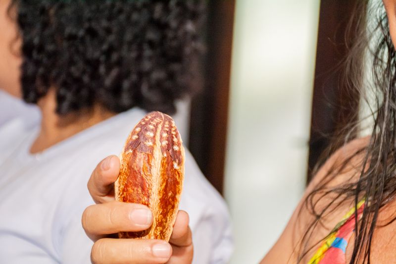  <div class='credito_fotos'>Foto: Karla Reis &nbsp;&nbsp;|&nbsp;&nbsp; <a href='/midias/2025/originais/9185_0509bd7c-53f2-cf0e-2ac1-8e830efe1457.jpg' download><i class='fa-solid fa-download'></i> Download</a></div>