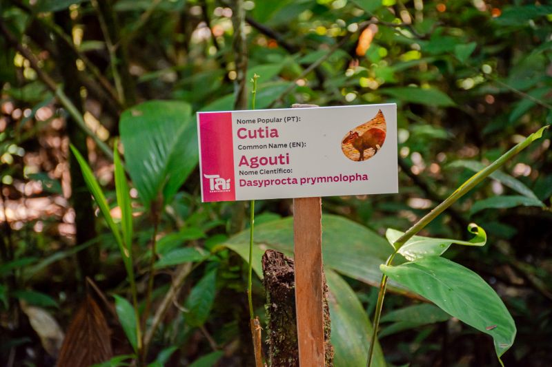  <div class='credito_fotos'>Foto: Karla Reis &nbsp;&nbsp;|&nbsp;&nbsp; <a href='/midias/2025/originais/9188_fbf9fe4a-0965-0ca8-7b36-701270e38fbc.jpg' download><i class='fa-solid fa-download'></i> Download</a></div>