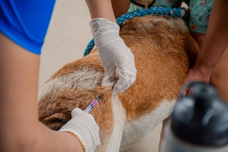  <div class='credito_fotos'>Foto: Karla Reis &nbsp;&nbsp;|&nbsp;&nbsp; <a href='/midias/2025/originais/9189_02625ed5-71d9-872d-5975-f73c828f999e.jpg' download><i class='fa-solid fa-download'></i> Download</a></div>