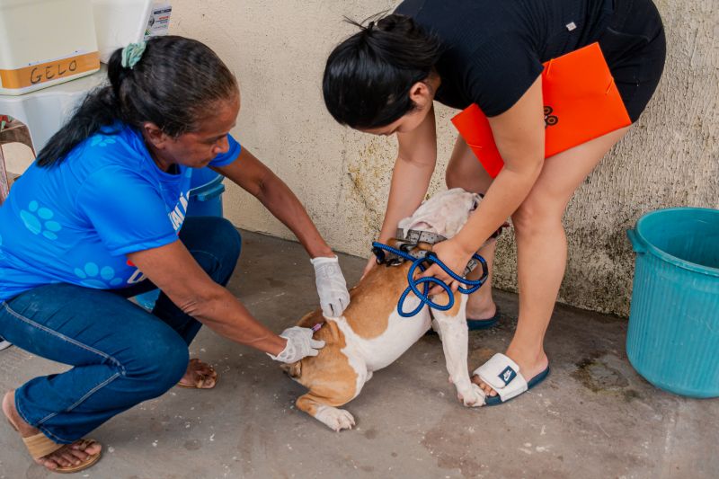  <div class='credito_fotos'>Foto: Karla Reis &nbsp;&nbsp;|&nbsp;&nbsp; <a href='/midias/2025/originais/9189_0d008584-659f-e110-86fa-281236dd8629.jpg' download><i class='fa-solid fa-download'></i> Download</a></div>