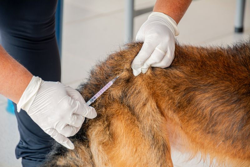  <div class='credito_fotos'>Foto: Karla Reis &nbsp;&nbsp;|&nbsp;&nbsp; <a href='/midias/2025/originais/9189_18500f38-0637-a7c7-1403-d3ed125a8adc.jpg' download><i class='fa-solid fa-download'></i> Download</a></div>