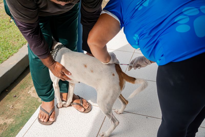  <div class='credito_fotos'>Foto: Karla Reis &nbsp;&nbsp;|&nbsp;&nbsp; <a href='/midias/2025/originais/9189_3202611a-d80d-d006-95c5-992ba460f23c.jpg' download><i class='fa-solid fa-download'></i> Download</a></div>