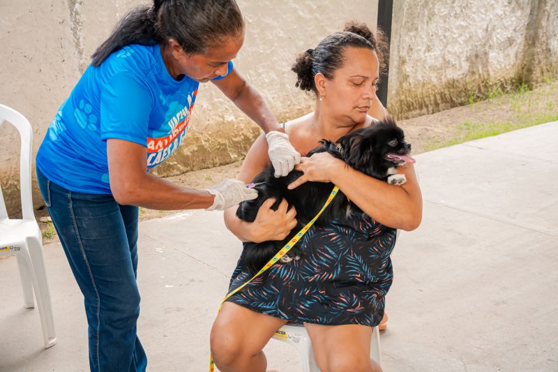  <div class='credito_fotos'>Foto: Karla Reis &nbsp;&nbsp;|&nbsp;&nbsp; <a href='/midias/2025/originais/9189_417a4b95-ad83-4279-eeb1-0e0a7e51726f.jpg' download><i class='fa-solid fa-download'></i> Download</a></div>