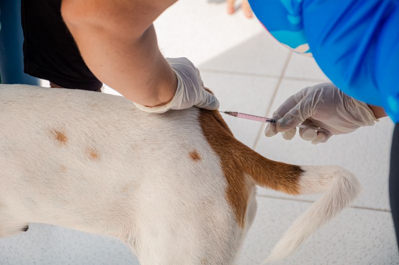  <div class='credito_fotos'>Foto: Karla Reis &nbsp;&nbsp;|&nbsp;&nbsp; <a href='/midias/2025/originais/9189_7919d782-46f6-b5ab-9146-c426deb2cb29.jpg' download><i class='fa-solid fa-download'></i> Download</a></div>