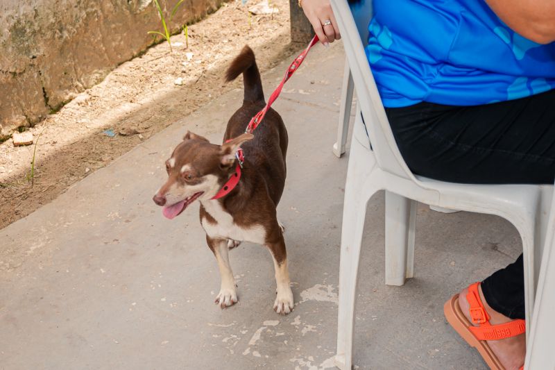  <div class='credito_fotos'>Foto: Karla Reis &nbsp;&nbsp;|&nbsp;&nbsp; <a href='/midias/2025/originais/9189_cc977a6a-e99c-af03-b0c4-4788654c0f96.jpg' download><i class='fa-solid fa-download'></i> Download</a></div>