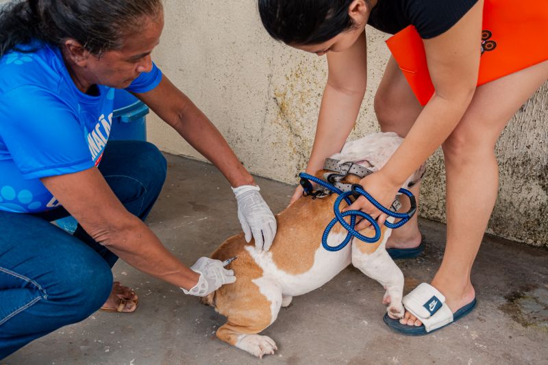  <div class='credito_fotos'>Foto: Karla Reis &nbsp;&nbsp;|&nbsp;&nbsp; <a href='/midias/2025/originais/9189_de53304d-e90b-ed4f-319d-349d20f98692.jpg' download><i class='fa-solid fa-download'></i> Download</a></div>