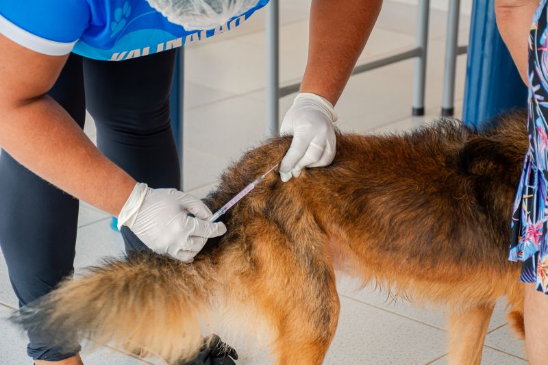  <div class='credito_fotos'>Foto: Karla Reis &nbsp;&nbsp;|&nbsp;&nbsp; <a href='/midias/2025/originais/9189_df9f032d-b9c5-1a6f-1aa9-025966339c72.jpg' download><i class='fa-solid fa-download'></i> Download</a></div>