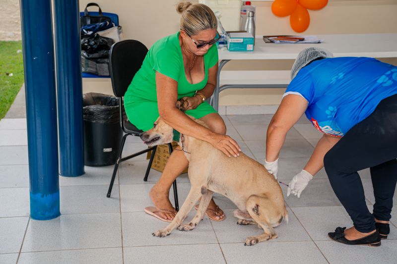  <div class='credito_fotos'>Foto: Karla Reis &nbsp;&nbsp;|&nbsp;&nbsp; <a href='/midias/2025/originais/9189_f034bc41-6e5f-3910-4e76-1ffbdb49f189.jpg' download><i class='fa-solid fa-download'></i> Download</a></div>