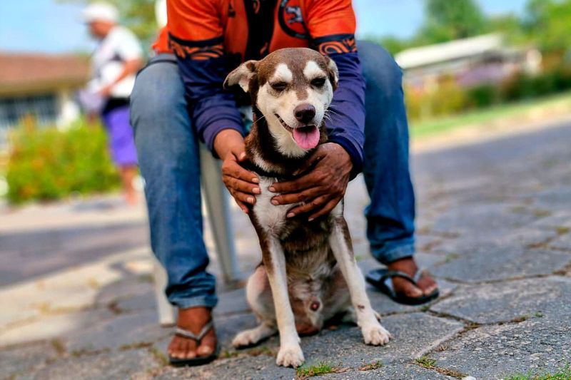 Crédito: Márcio Souza