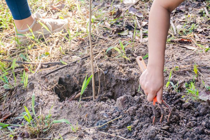 Crédito: Karla Reis / CECOM-Benevides