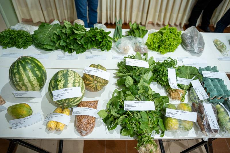 Crédito: Divulgação