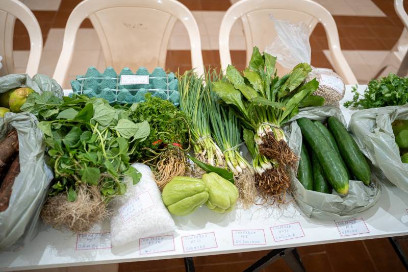 Crédito: Divulgação