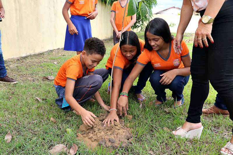Em Benevides, a educação se conecta com a natureza. O plantio de árvores na área verde da escola é um momento que estimula a responsabilidade ambiental 