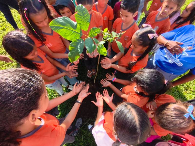 Crédito: Divulgação