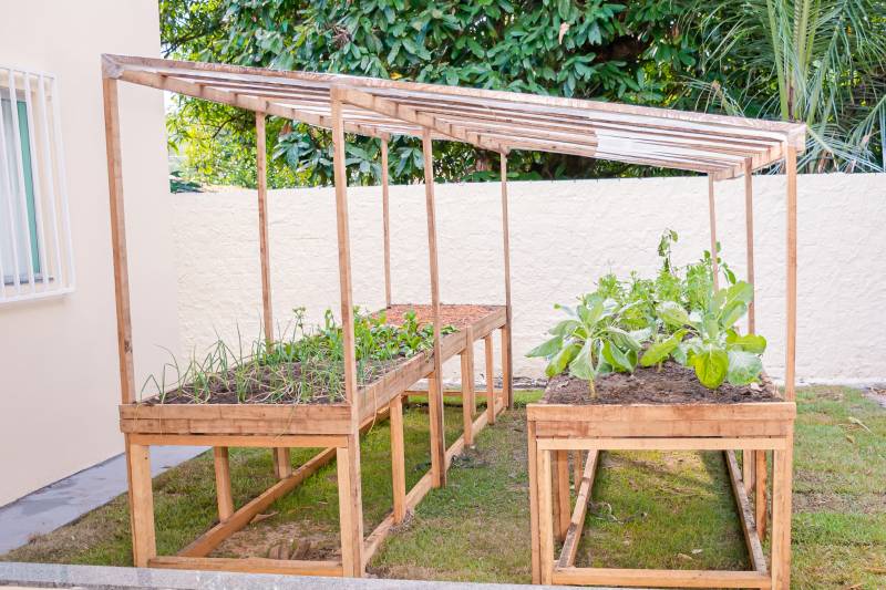 Crédito: KARLA REIS