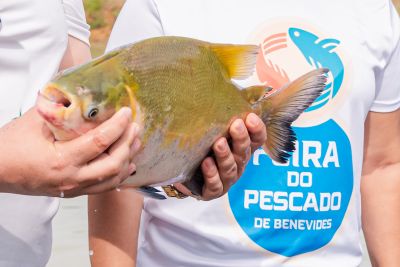 notícia: “Feira Livre do Peixe” impulsiona piscicultura urbana em Benevides