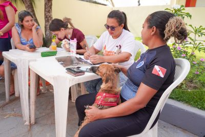 galeria: AÇÃO CASTRAMÓVEL UBS COHAB