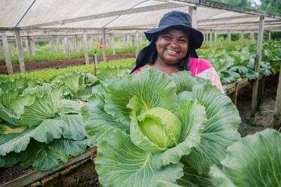 notícia: Benevides lança Plano Municipal de Segurança Alimentar com foco em inclusão, sustentabilidade e desenvolvimento local