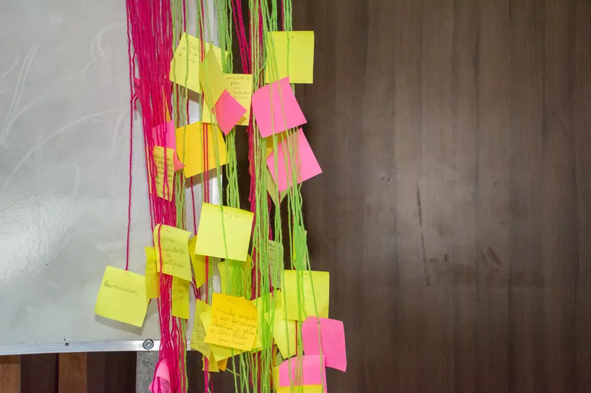  <div class='credito_fotos'>Foto: Karla Reis &nbsp;&nbsp;|&nbsp;&nbsp; <a href='/midias/2026/originais/20260119162043-GF00009266-F00109305.webp' download><i class='fa-solid fa-download'></i> Download</a></div>