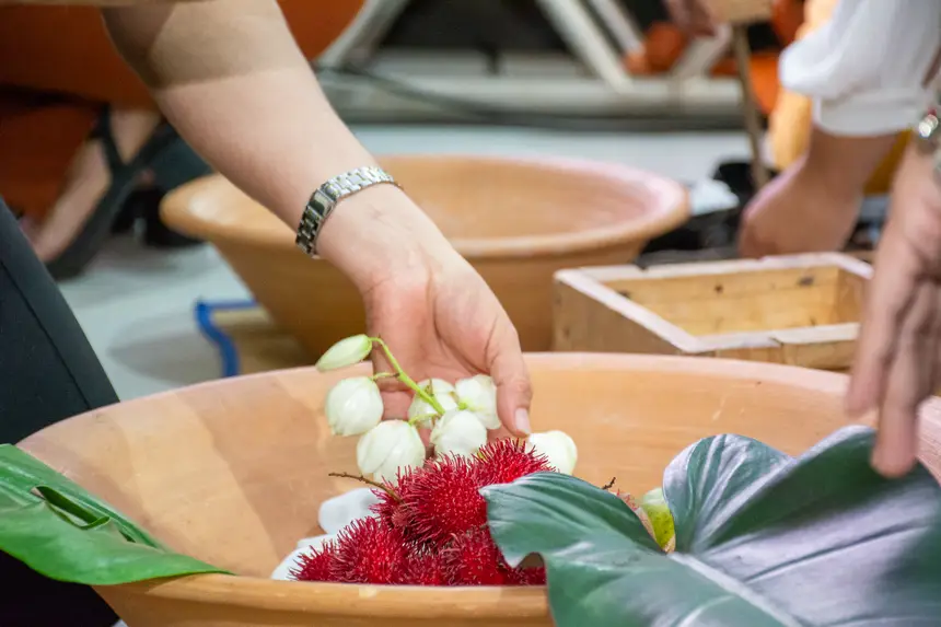  <div class='credito_fotos'>Foto: Karla Reis &nbsp;&nbsp;|&nbsp;&nbsp; <a href='/midias/2026/originais/20260127150118-GF00009277-F00109629.webp' download><i class='fa-solid fa-download'></i> Download</a></div>