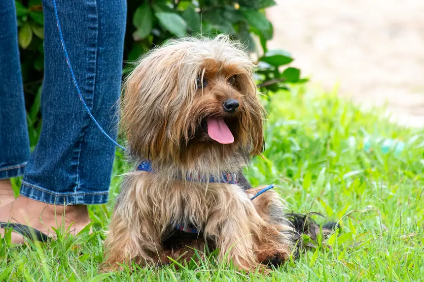  <div class='credito_fotos'>Foto: Karla Reis &nbsp;&nbsp;|&nbsp;&nbsp; <a href='/midias/2026/originais/20260303154826-GF00009327-F00112234.webp' download><i class='fa-solid fa-download'></i> Download</a></div>