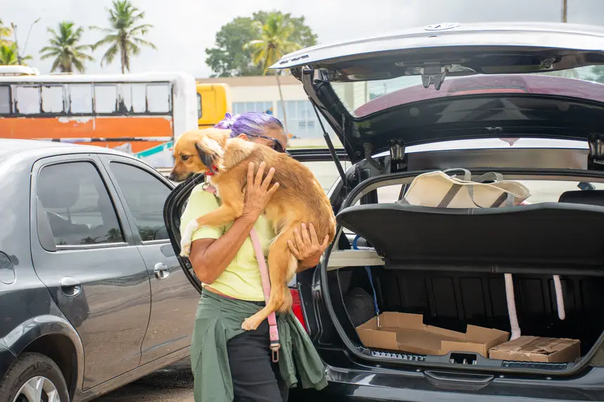  <div class='credito_fotos'>Foto: Karla Reis &nbsp;&nbsp;|&nbsp;&nbsp; <a href='/midias/2026/originais/20260303154839-GF00009327-F00112244.webp' download><i class='fa-solid fa-download'></i> Download</a></div>