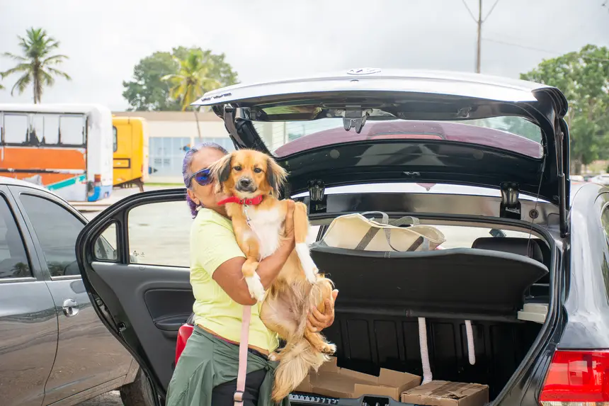  <div class='credito_fotos'>Foto: Karla Reis &nbsp;&nbsp;|&nbsp;&nbsp; <a href='/midias/2026/originais/20260303154841-GF00009327-F00112245.webp' download><i class='fa-solid fa-download'></i> Download</a></div>