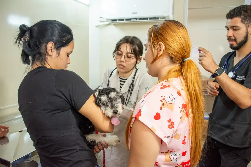  <div class='credito_fotos'>Foto: Karla Reis &nbsp;&nbsp;|&nbsp;&nbsp; <a href='/midias/2026/originais/20260303154916-GF00009327-F00112272.webp' download><i class='fa-solid fa-download'></i> Download</a></div>