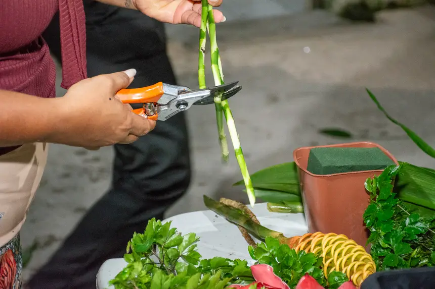  <div class='credito_fotos'>Foto: Karla Reis &nbsp;&nbsp;|&nbsp;&nbsp; <a href='/midias/2026/originais/20260314103519-GF00009342-F00112780.webp' download><i class='fa-solid fa-download'></i> Download</a></div>