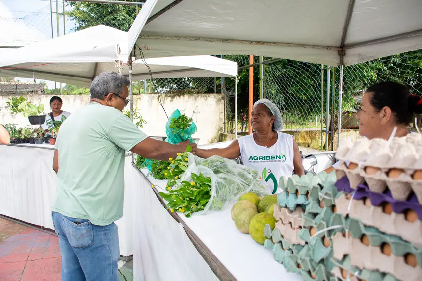  <div class='credito_fotos'>Foto: Karla Reis &nbsp;&nbsp;|&nbsp;&nbsp; <a href='/midias/2026/originais/20260330134735-GF00009361-F00113683.webp' download><i class='fa-solid fa-download'></i> Download</a></div>