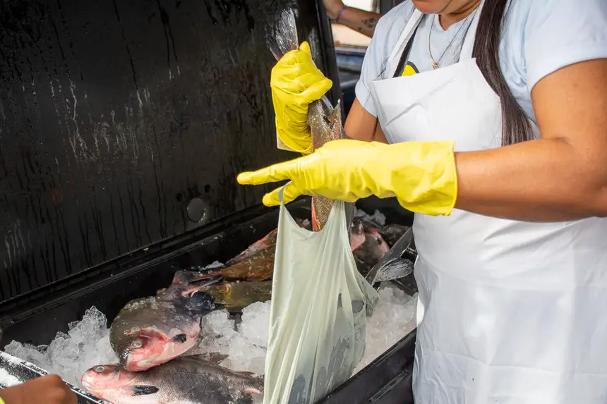  <div class='credito_fotos'>Foto: Karla Reis &nbsp;&nbsp;|&nbsp;&nbsp; <a href='/midias/2026/originais/20260330134736-GF00009361-F00113684.webp' download><i class='fa-solid fa-download'></i> Download</a></div>