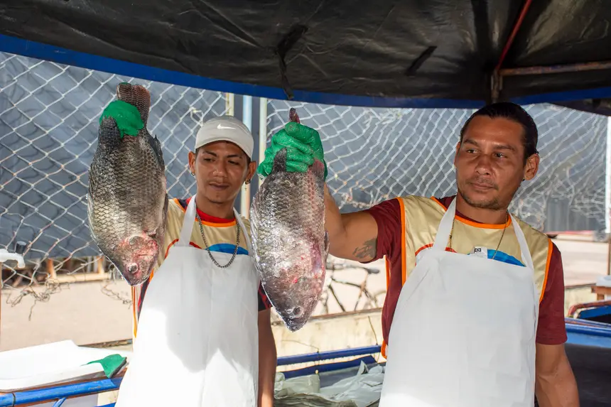  <div class='credito_fotos'>Foto: Karla Reis &nbsp;&nbsp;|&nbsp;&nbsp; <a href='/midias/2026/originais/20260330134745-GF00009361-F00113690.webp' download><i class='fa-solid fa-download'></i> Download</a></div>