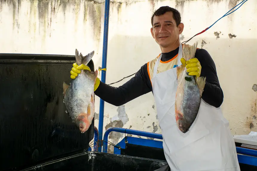  <div class='credito_fotos'>Foto: Karla Reis &nbsp;&nbsp;|&nbsp;&nbsp; <a href='/midias/2026/originais/20260330134746-GF00009361-F00113691.webp' download><i class='fa-solid fa-download'></i> Download</a></div>