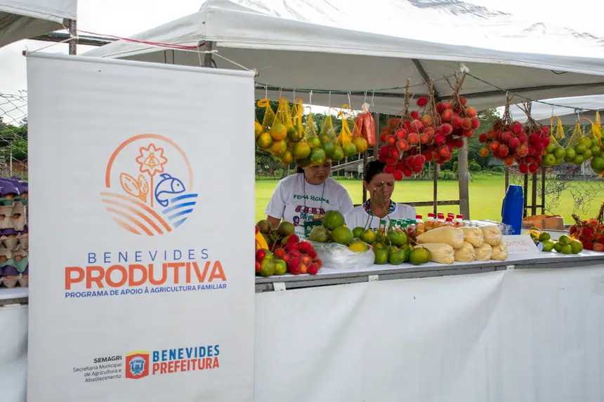  <div class='credito_fotos'>Foto: Karla Reis &nbsp;&nbsp;|&nbsp;&nbsp; <a href='/midias/2026/originais/20260330134747-GF00009361-F00113692.webp' download><i class='fa-solid fa-download'></i> Download</a></div>