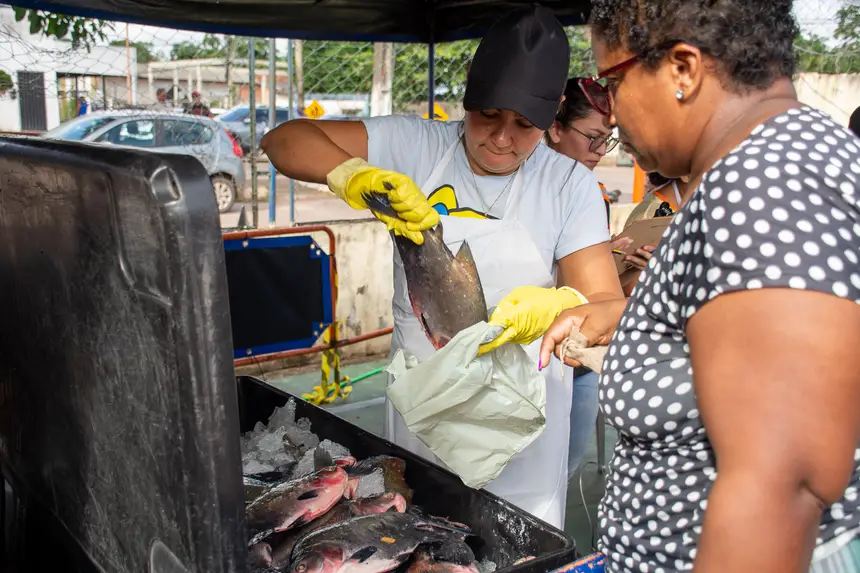  <div class='credito_fotos'>Foto: Karla Reis &nbsp;&nbsp;|&nbsp;&nbsp; <a href='/midias/2026/originais/20260330134755-GF00009361-F00113698.webp' download><i class='fa-solid fa-download'></i> Download</a></div>