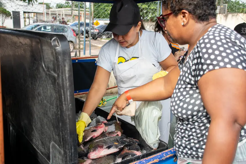  <div class='credito_fotos'>Foto: Karla Reis &nbsp;&nbsp;|&nbsp;&nbsp; <a href='/midias/2026/originais/20260330134756-GF00009361-F00113699.webp' download><i class='fa-solid fa-download'></i> Download</a></div>