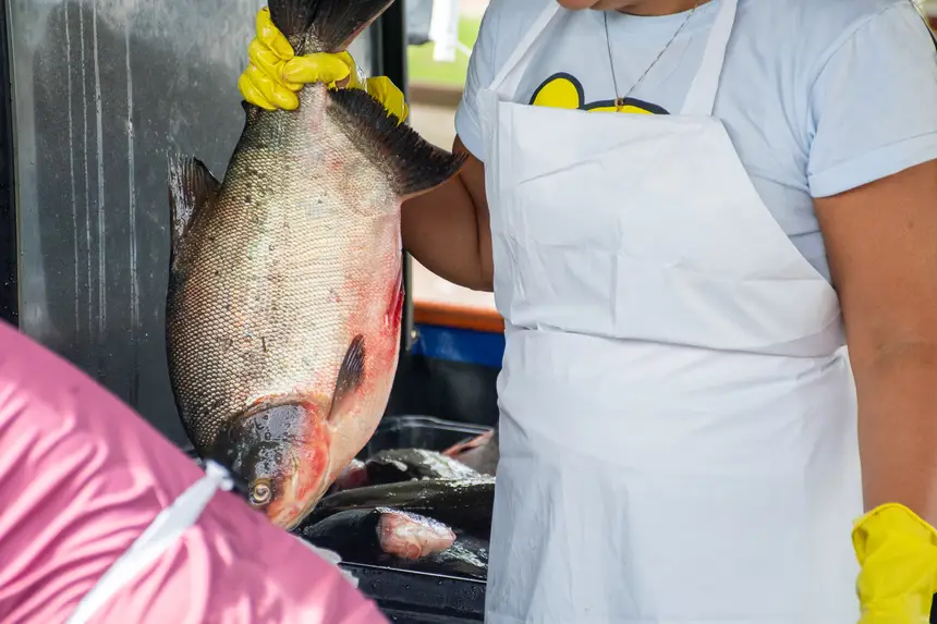  <div class='credito_fotos'>Foto: Karla Reis &nbsp;&nbsp;|&nbsp;&nbsp; <a href='/midias/2026/originais/20260330134806-GF00009361-F00113707.webp' download><i class='fa-solid fa-download'></i> Download</a></div>