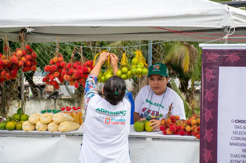  <div class='credito_fotos'>Foto: Karla Reis &nbsp;&nbsp;|&nbsp;&nbsp; <a href='/midias/2026/originais/20260330134827-GF00009361-F00113723.webp' download><i class='fa-solid fa-download'></i> Download</a></div>