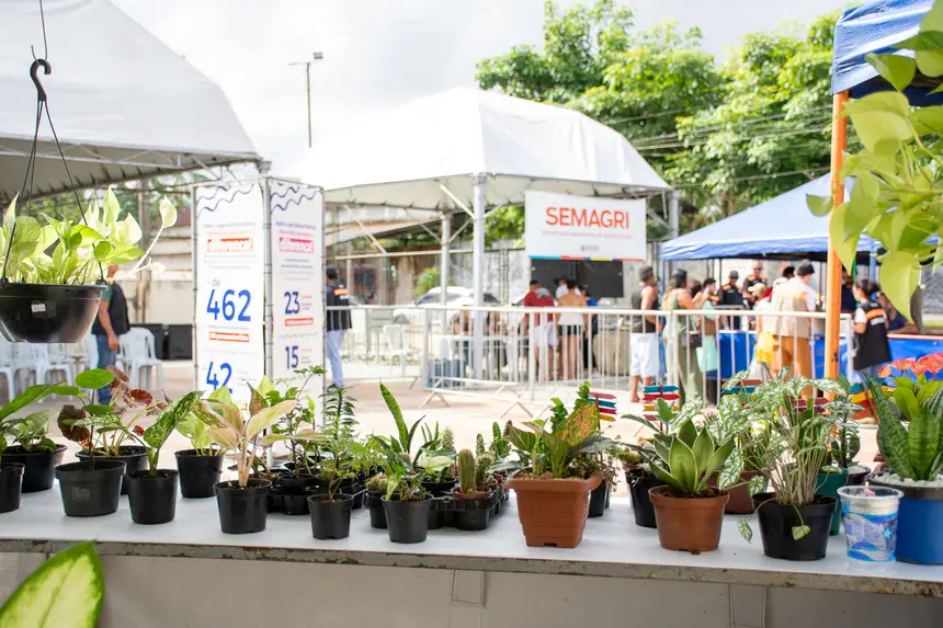  <div class='credito_fotos'>Foto: Karla Reis &nbsp;&nbsp;|&nbsp;&nbsp; <a href='/midias/2026/originais/20260330134839-GF00009361-F00113732.webp' download><i class='fa-solid fa-download'></i> Download</a></div>