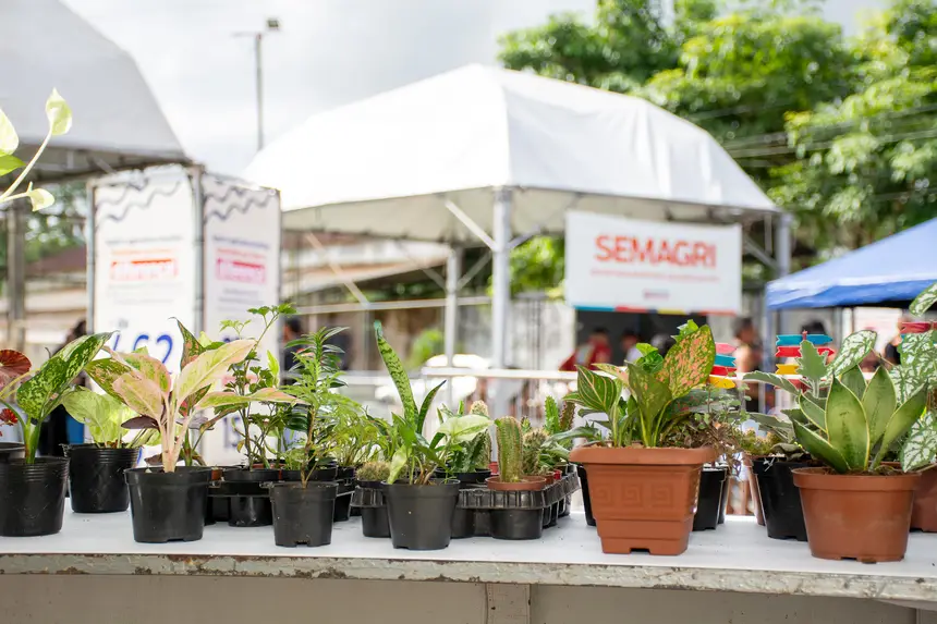  <div class='credito_fotos'>Foto: Karla Reis &nbsp;&nbsp;|&nbsp;&nbsp; <a href='/midias/2026/originais/20260330134840-GF00009361-F00113733.webp' download><i class='fa-solid fa-download'></i> Download</a></div>