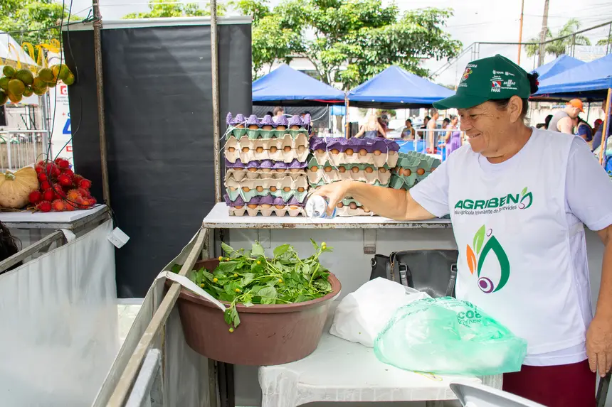  <div class='credito_fotos'>Foto: Karla Reis &nbsp;&nbsp;|&nbsp;&nbsp; <a href='/midias/2026/originais/20260330134841-GF00009361-F00113734.webp' download><i class='fa-solid fa-download'></i> Download</a></div>