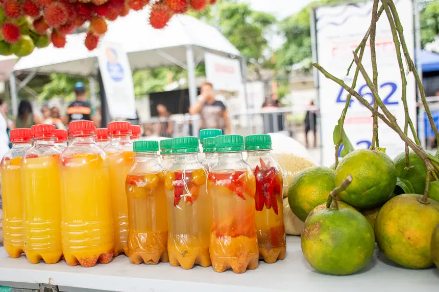  <div class='credito_fotos'>Foto: Karla Reis &nbsp;&nbsp;|&nbsp;&nbsp; <a href='/midias/2026/originais/20260330134843-GF00009361-F00113735.webp' download><i class='fa-solid fa-download'></i> Download</a></div>